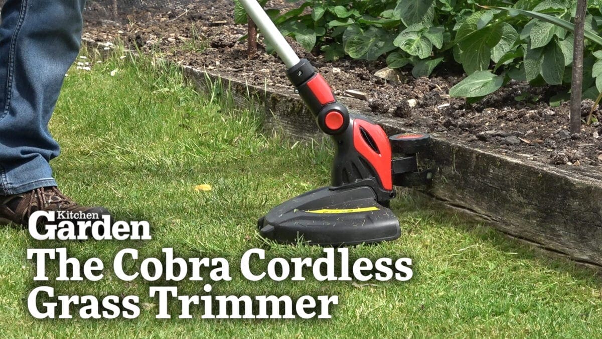 Rasentrimmer Mit Akku, 24V Akku Rasentrimmer, 3 In  Produktbild-Vorschau 3