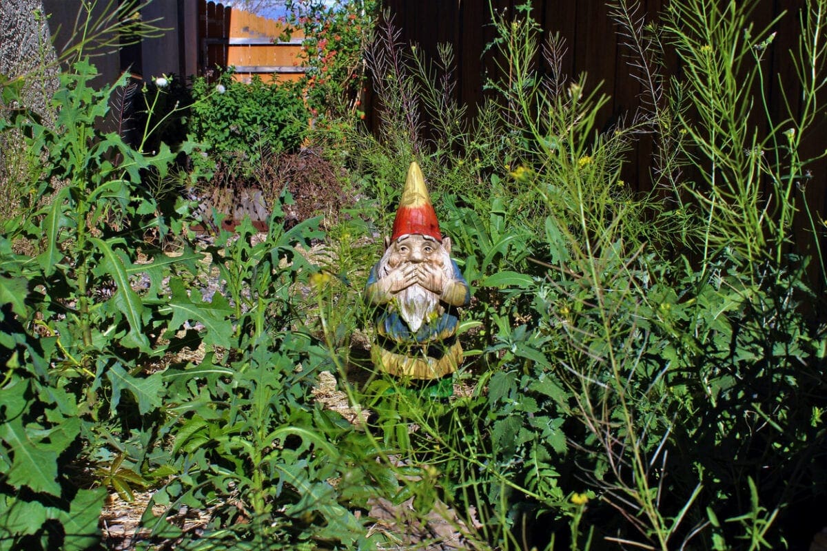 Ryobi found even gnomes were embarrased about some gadrens