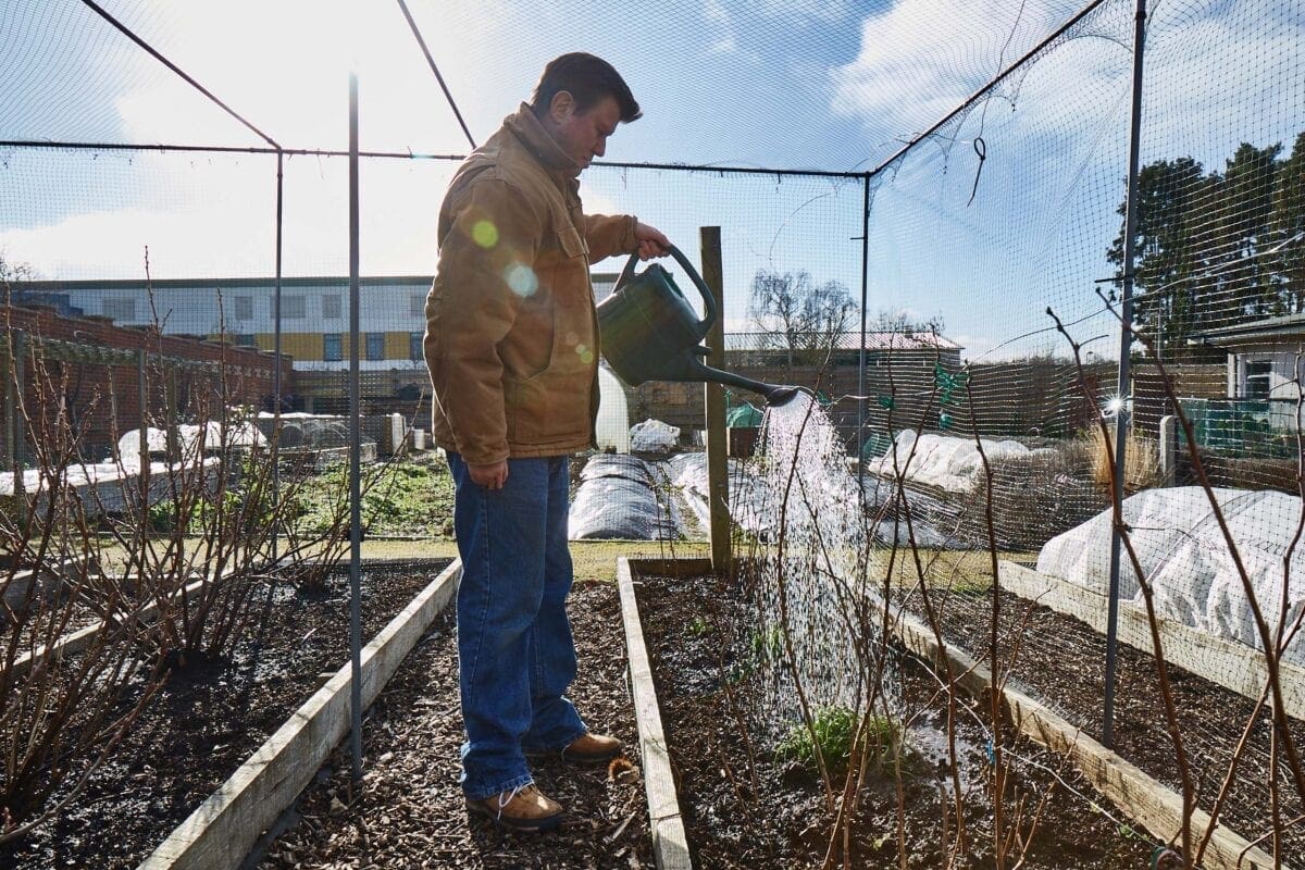 Gardening can be a great way to maintain mental health