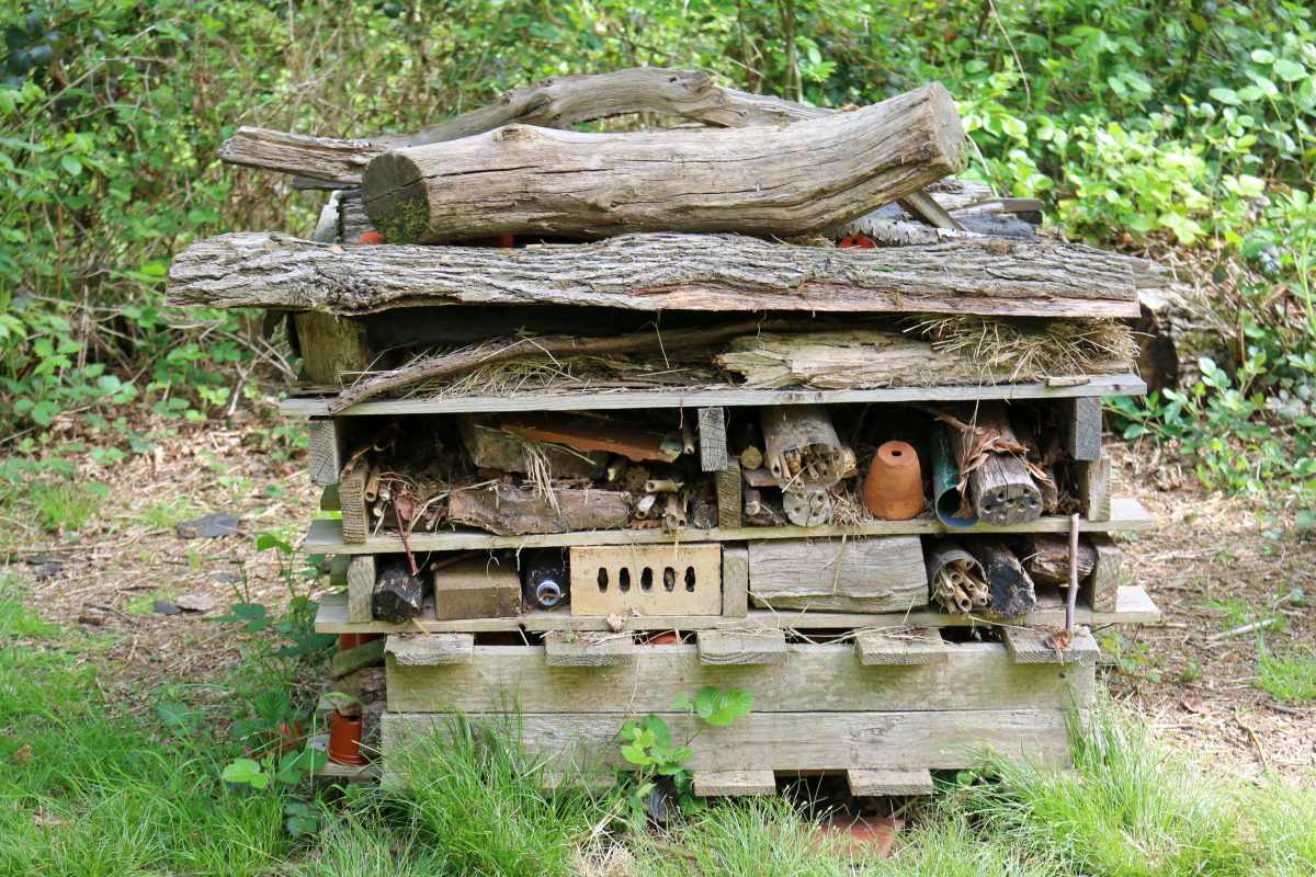 Bug hotel in garden