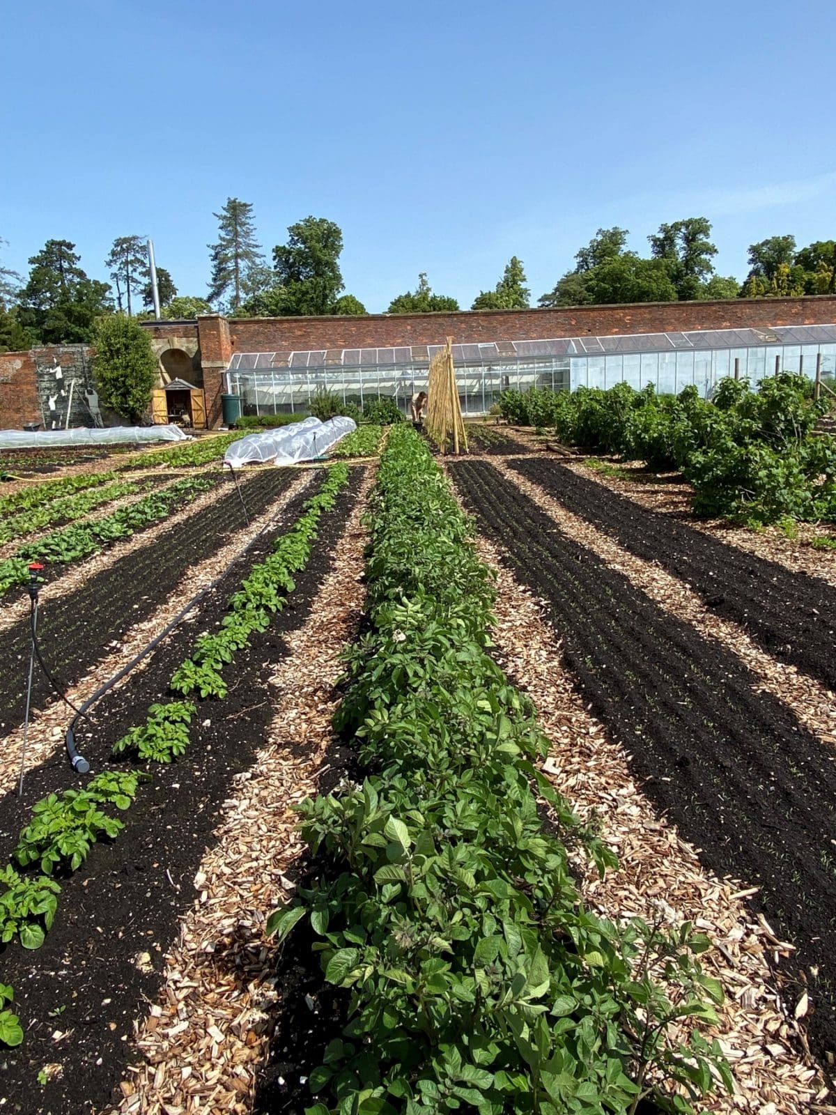 New Worthy Earth kitchen garden At Blenheim Palace
